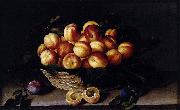 Louise Moillon Basket of Apricots oil painting